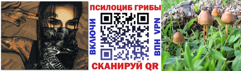 Псилоцибиновые грибы GOLDEN TEACHER как найти мега вход Новопавловск